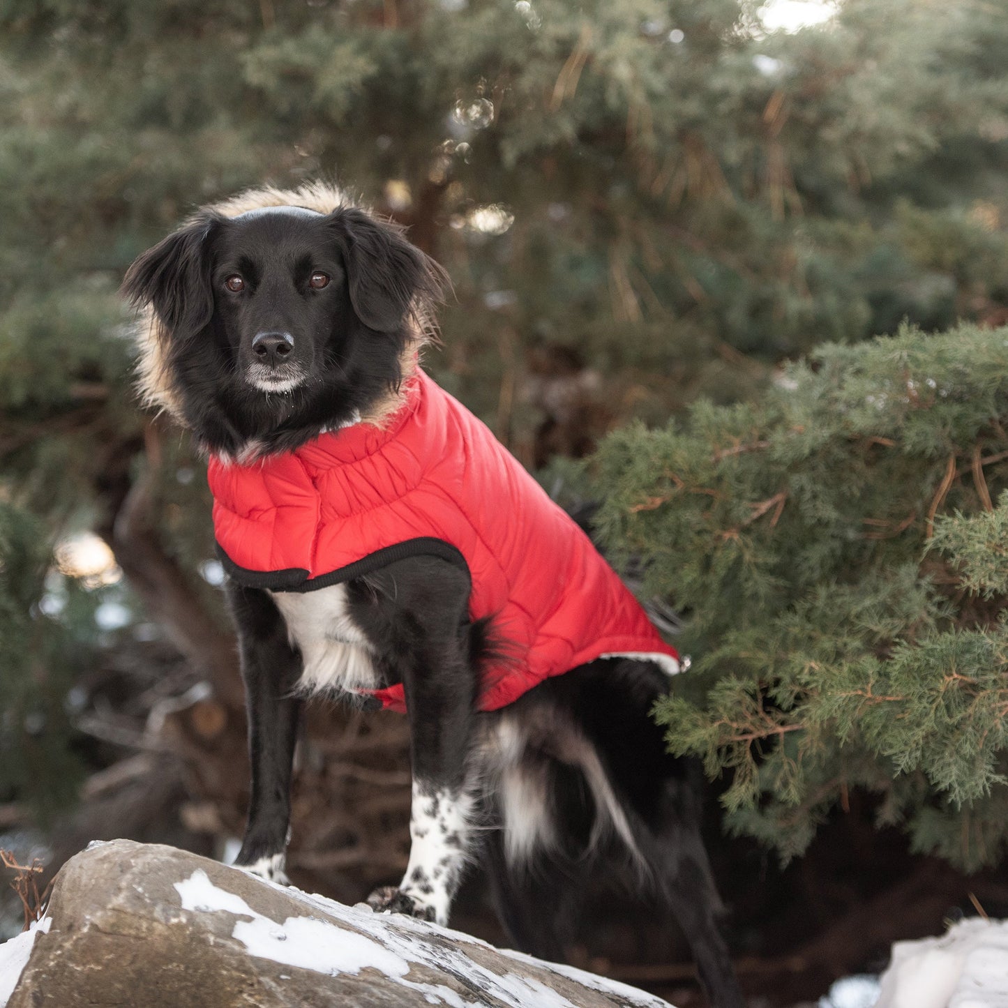 Urban Parka - Red