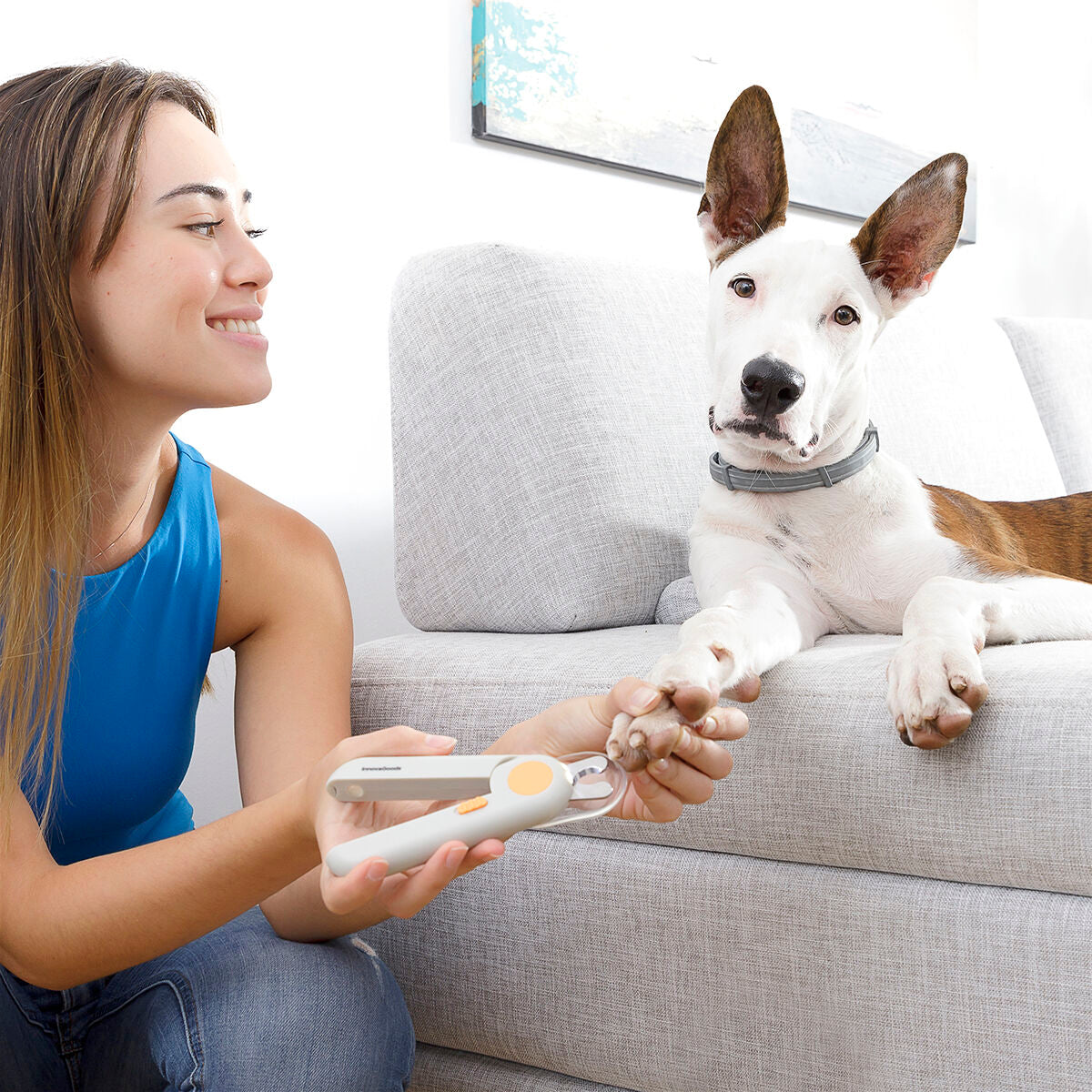 Pet Nail Clippers with LED Clipet InnovaGoods